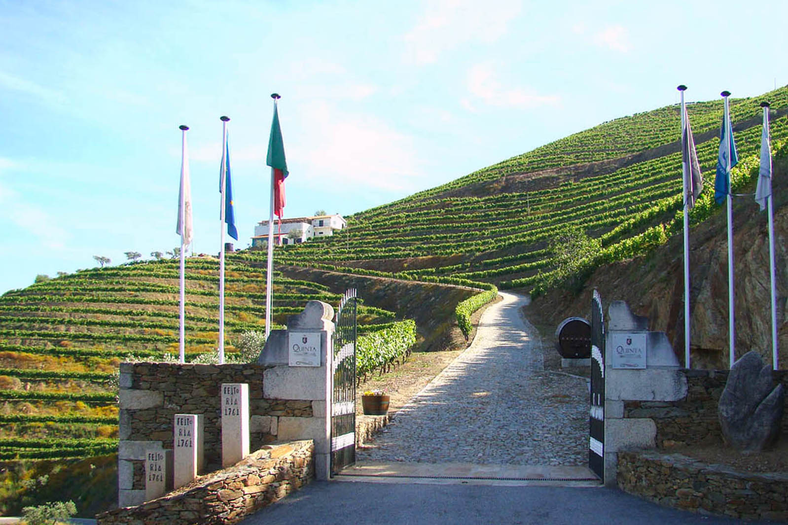 WEINBERGE & WEINGÜTER ZU VERKAUFEN IN PORTUGAL, DOURO, PORTWEIN |  Oberes Dourotal, Cima Courgo, Baixo Corgo